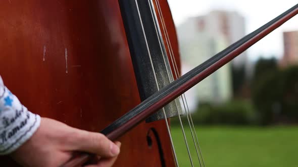 Close Up Hands Playing Double Bass, Folk Music Concept, Static Shot