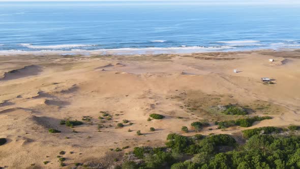 Flying over a coast, across a forest, dunes towards the beach and ocean (aerial view)