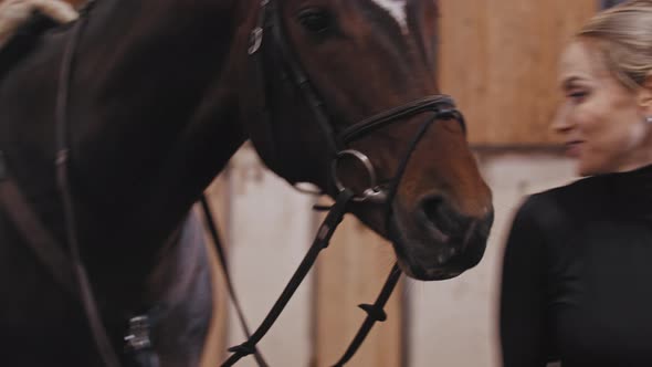 Smiling Horsewoman Puts on a Plastic Helmet Standing Near the Horse