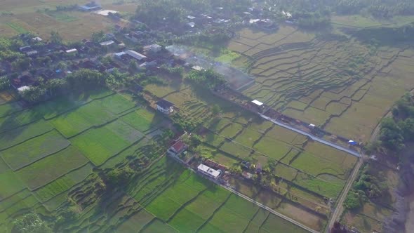 Aerial drone view of the green farming fields in Indonesia.