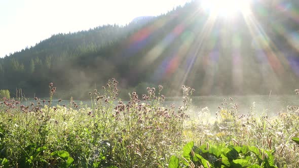 Morning Mist Over The Lake