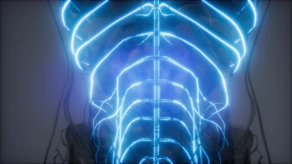 Human Brain Radiology Exam alt