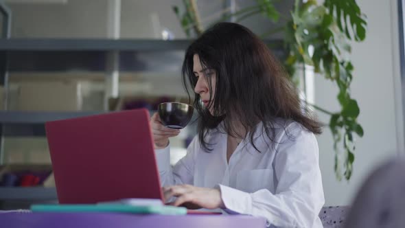 Busy Female Caucasian Freelancer Surfing Internet on Laptop Sitting in Cafe Drinking Coffee in Slow