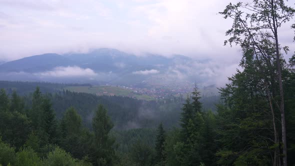 View From Hill with Forest Meadow on Town and Mist in Valley