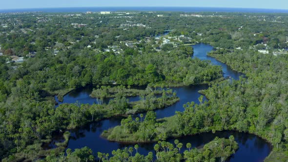 Pan of River Flowing Through Dense Trees Near Small Town on the Gulf of Mexico