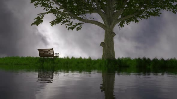 Bench Under Big Tree Timelapse Seasons