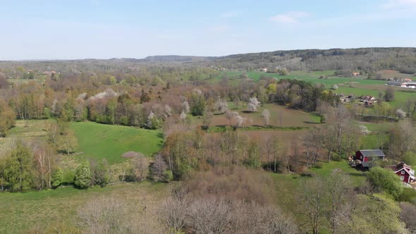 Vallevagen in Sweden Travel Destination Wild Cherry Blossom Forest Aerial