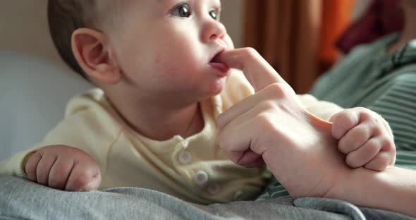 a Young Mother Is Holding a Beautiful Sevenmonthold Son Who Smiles and Gnaws at Fingers and Mother's