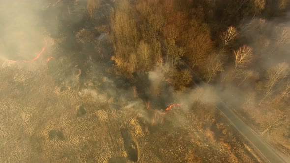 The burning field in spring, view from a drone