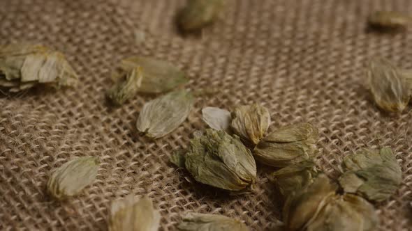 Rotating shot of barley and other beer brewing ingredients -