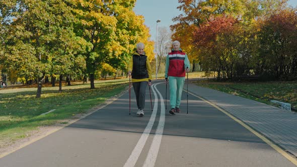 Two Aged Women Walking in Sunny Fall Park with Poles for Nordic Walking Front