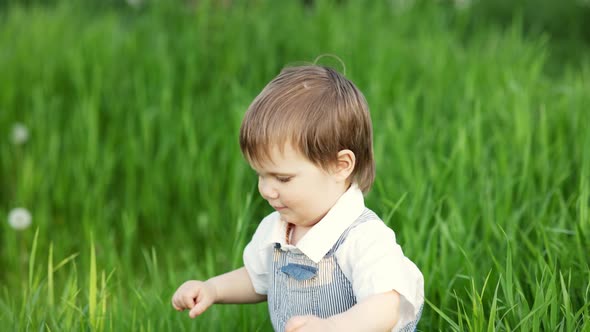 A Cute Child in a Blue Overalls and Blue Eyes Plays Funny in the Tall Green Grass in a Green