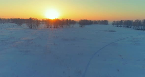 Aerial Drone View of Cold Winter Landscape with Arctic Field Trees Covered with Frost Snow and