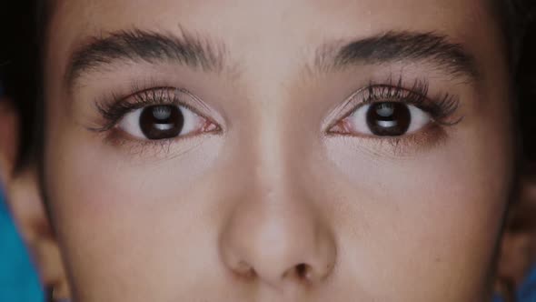 Close-up of Dark Eyes with Light Nude Sexy Make-up and Perfect Brows Looking To Camera