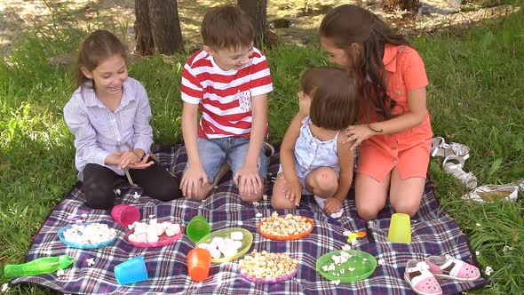 Picnic Outdoors on a Summer Day