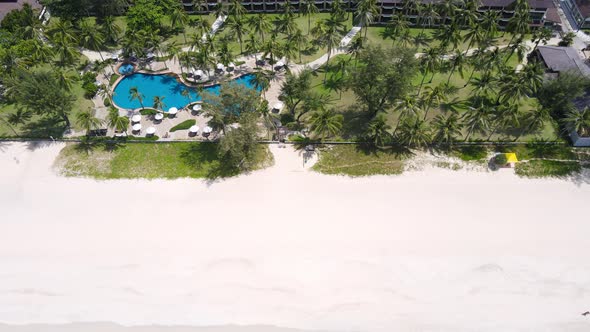 High angle view. The garden and the pool are full of coconut trees on the beach.
