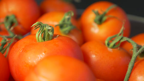 Tiny cherry tomatoes in glass bowl slow panning 4K 3840X2160 UHD footage - Cherry red  tomatoes in b