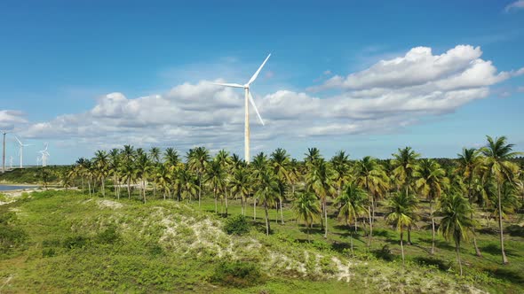 Northeast Brazil. Aeolian turbine at Beach at Ceara state. Wind farm field.