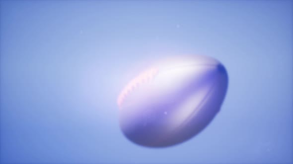 Super Slow Motion Flying Football alt