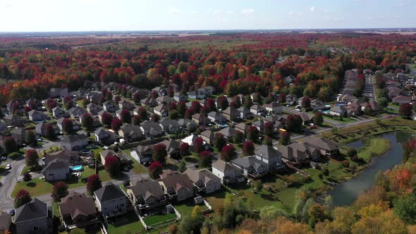 fall colours over suburbia neighborhood