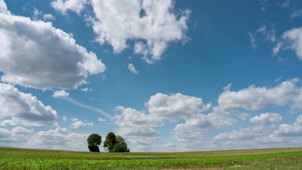 Time lapse country wheat field scenic trees clouds