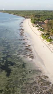 Vertical Video of the Beach on Zanzibar Island Tanzania