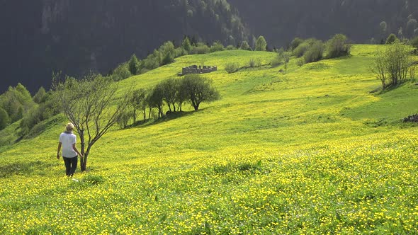 Woman Walks Alone in Meadow With Yellow Flowers on Plateau