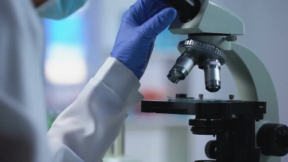 Female Researcher Looking in Microscope at Microorganism, Genetic Experiment