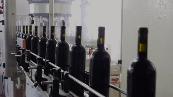 Liquor bottles flow on a conveyor belt, corked and labelled and ready for packaging in a wine making