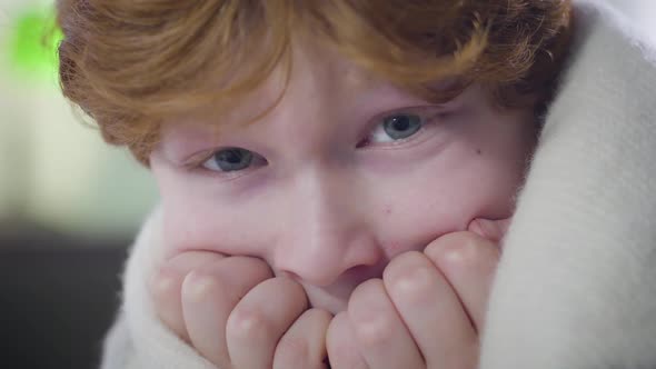 Extreme Close-up Face of Cute Caucasian Little Boy Looking at Camera with Fear in Eyes