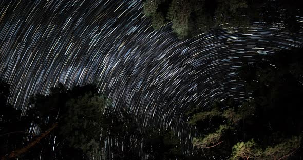 Star Trails in the Night Sky