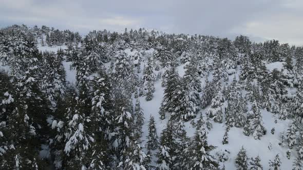 Aerial Snowcap Mountain