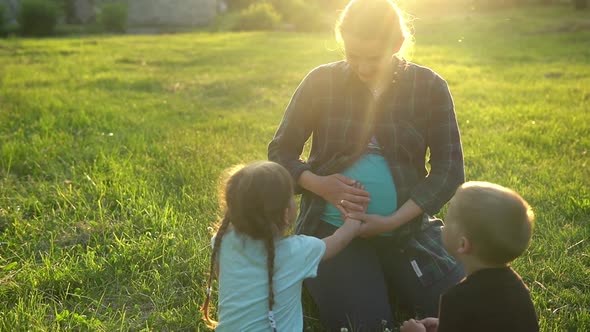 Summer Nature Happy Family Pregnancy Young Pregnant Woman Mother with Two Small Toddler Children Sit