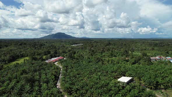 The Towns of Sarawak, Borneo, Malaysia