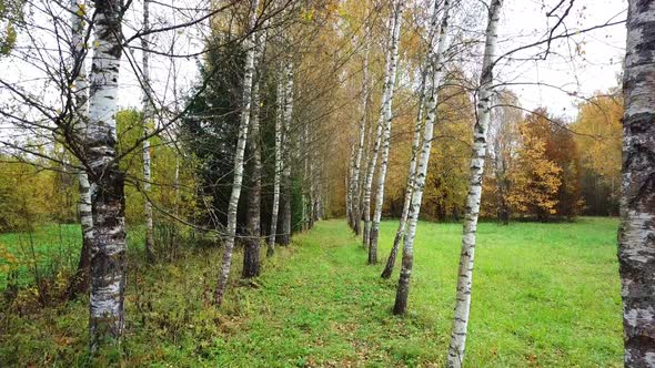 Golden Autumn In A Country Estate 02