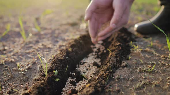 Planting Seeds