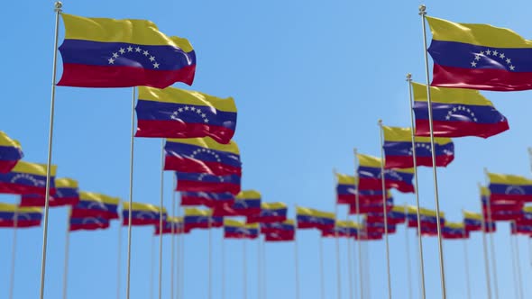 Venezuela Row Of  National flags  alt