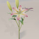 Lily 3D model - 3DOcean Item for Sale