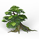 Game Ready Fantasy Tree 05 - 3DOcean Item for Sale