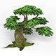 Game Ready Fantasy Tree 06 - 3DOcean Item for Sale