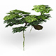 Game Ready Fantasy Tree 08 - 3DOcean Item for Sale