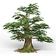 Game Ready Fantasy Tree 11 - 3DOcean Item for Sale