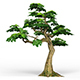Game Ready Fantasy Tree 13 - 3DOcean Item for Sale