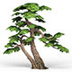Game Ready Fantasy Tree 14 - 3DOcean Item for Sale