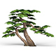 Game Ready Fantasy Tree 16 - 3DOcean Item for Sale