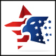 USA Star Eagle Logo Template - GraphicRiver Item for Sale
