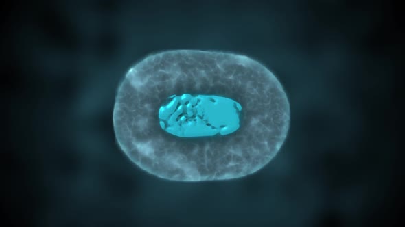 Cell Division or Cloning Cells alt