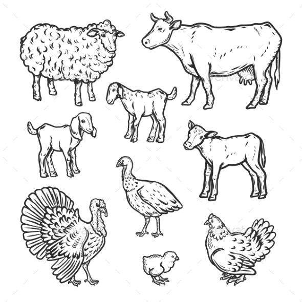 Farm Animals Detailed Icon Set Outline Style