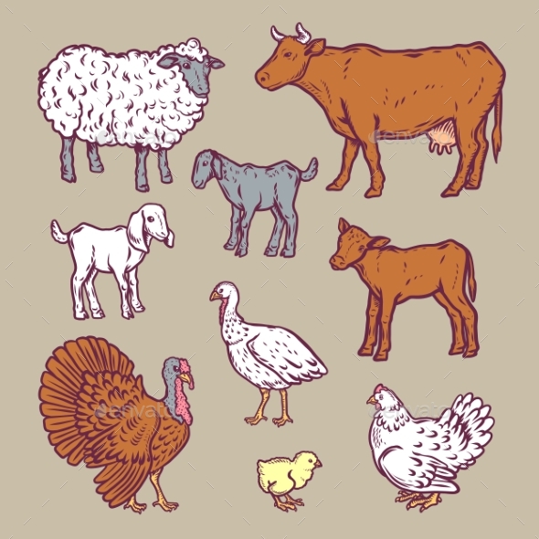 Farm Animals Detailed Icon Set Cartoon Style