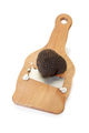 Black truffle and truffle slicer isolated on white, clipping path included - PhotoDune Item for Sale